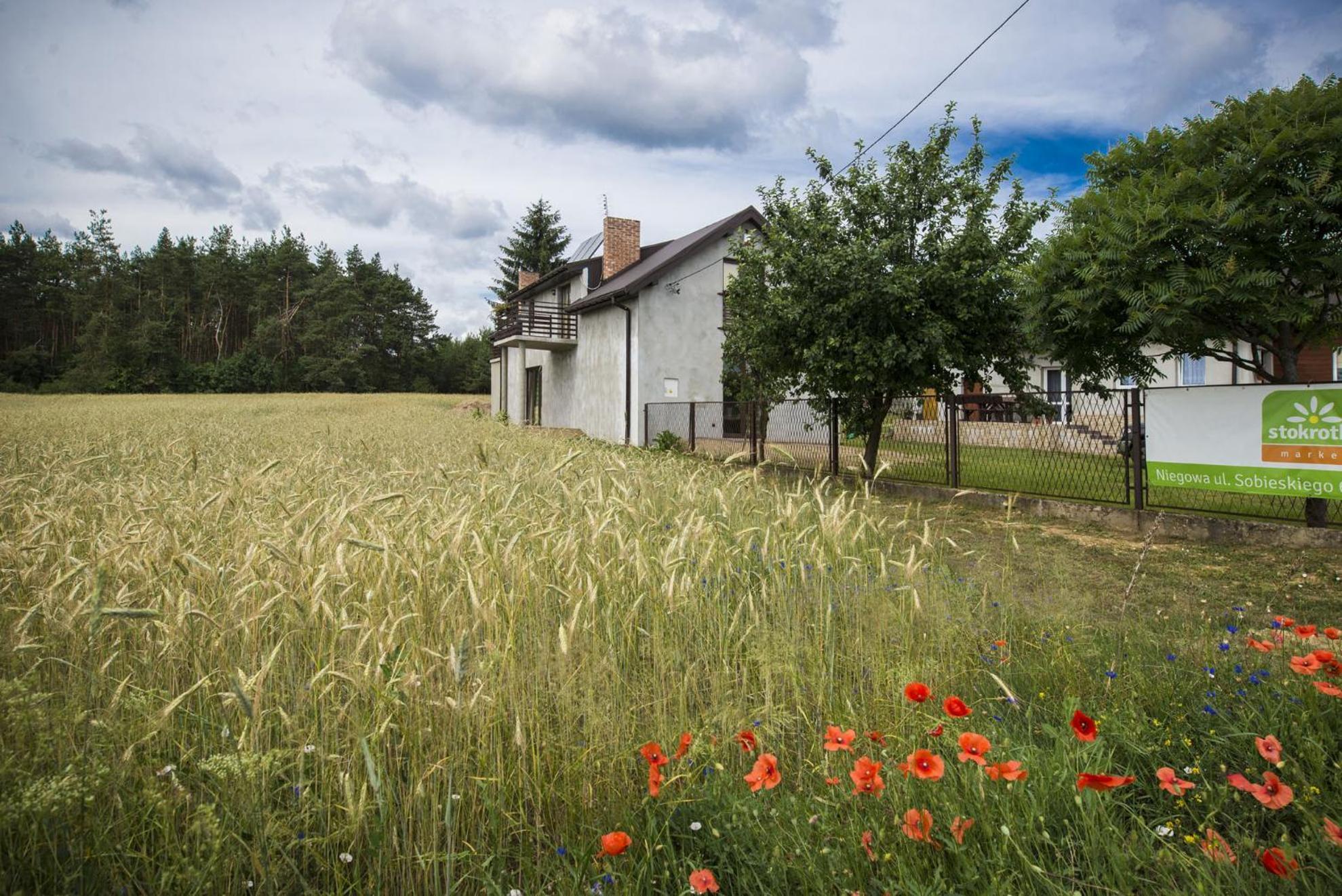 Jurajskie Pokoje Pod Lasem Bobolice  Exterior foto